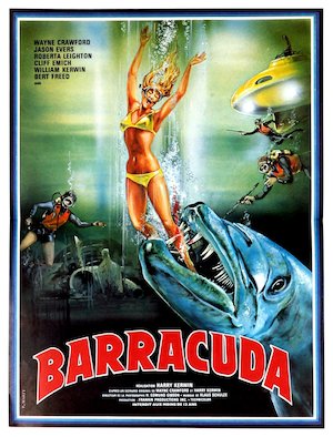 Barracuda