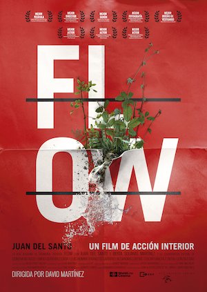 Flow