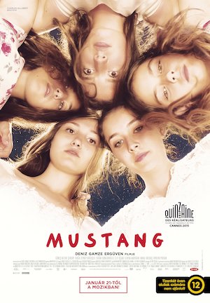 Mustang