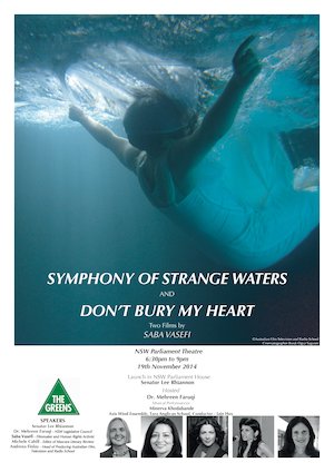 Symphony of Strange Waters