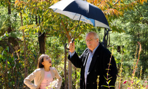 The Weatherman's Umbrella