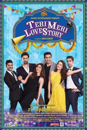 Teri Meri Love-Story