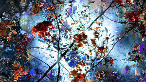 Traces of Garden