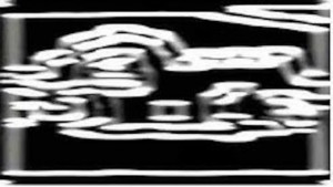 History of Movement 2