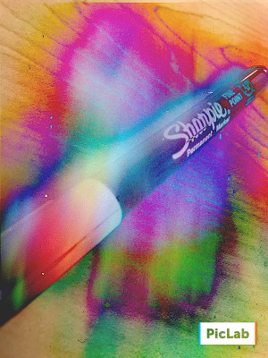 Sharpie: A Story About Permanence