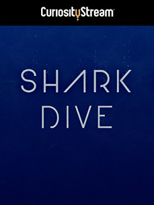 Shark Dive