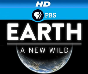 EARTH a New Wild