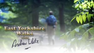 East Yorkshire Walks with Andrew White