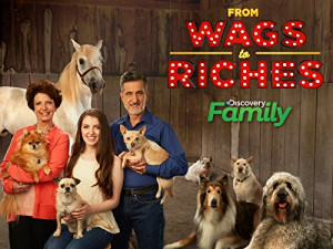 From Wags to Riches with Bill Berloni