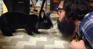 Anthony Kapfer and Lars