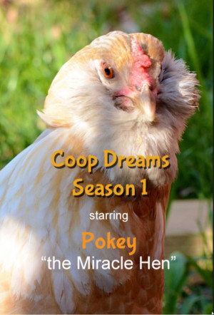 Coop Dreams
