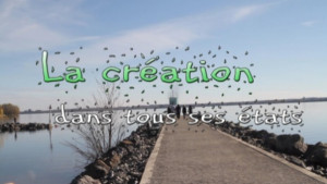 La creation dans tous ses etats