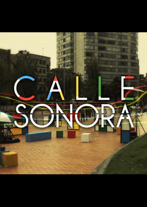 Calle Sonora