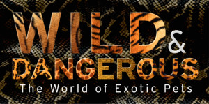 Wild & Dangerous