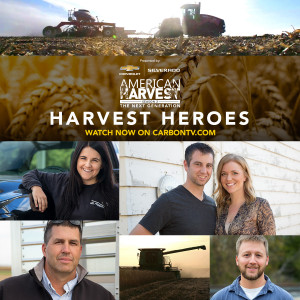 American Harvest