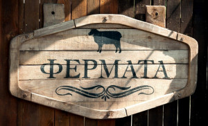 The Farm: Bulgaria