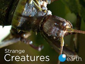 Strange Creatures