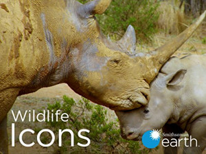 Wildlife icons