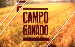 Campo Ganado