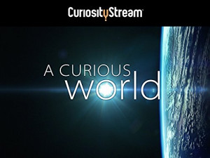 A Curious World