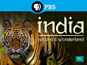India Nature's Wonderland