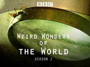 Weird Wonders of the World