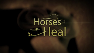 Horses That Heal