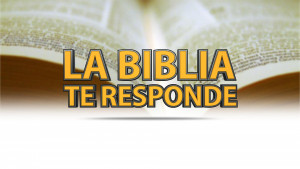 La Iglesia en Estudio