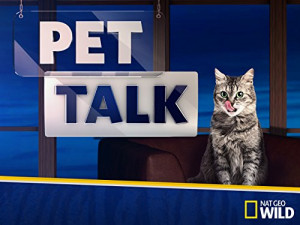 Pet Talk