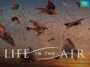 Life in the Air