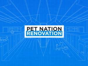 Pet Nation Renovation