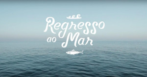 Regresso Ao Mar