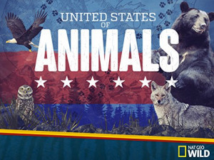 United States of Animals