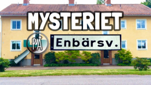 Mysteriet på Enbärsvägen