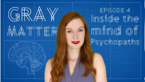 Gray Matter