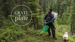 Crate to Plate