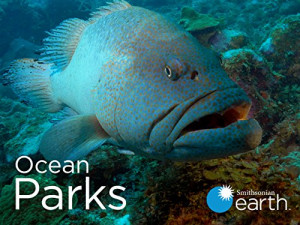 Ocean Parks