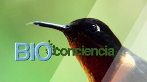 Bioconciencia