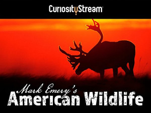Mark Emery's American Wildlife