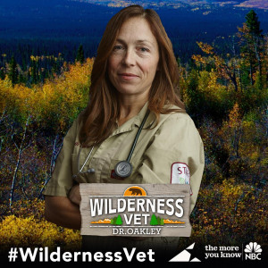 Wilderness Vet