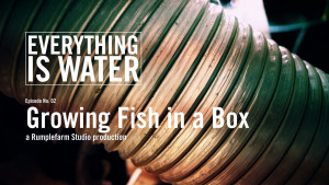 Everything Is Water