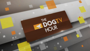 The DOGTV Hour