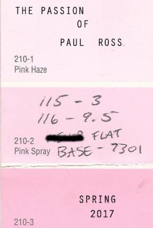 The Passion of Paul Ross