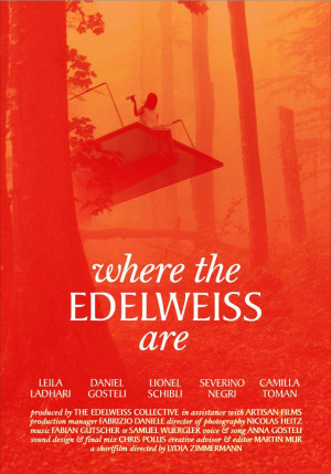 Where the EDELWEISS are