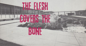 The Flesh Covers the Bone