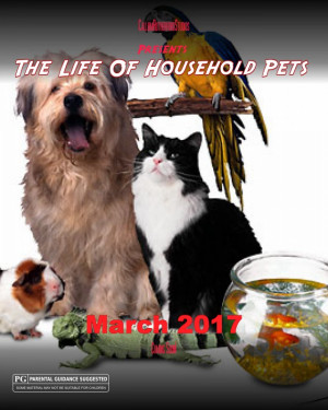 The Life of Household Pets