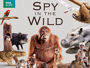Spy in the Wild