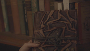 The Sorcerers Book