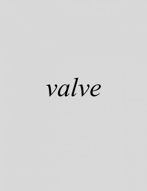 Valve
