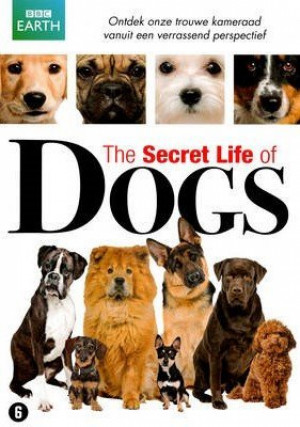 Secret Life of Dogs
